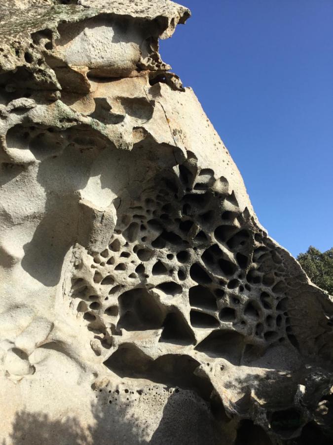 La Casa Di Marco Villa Nuoro  Eksteriør billede